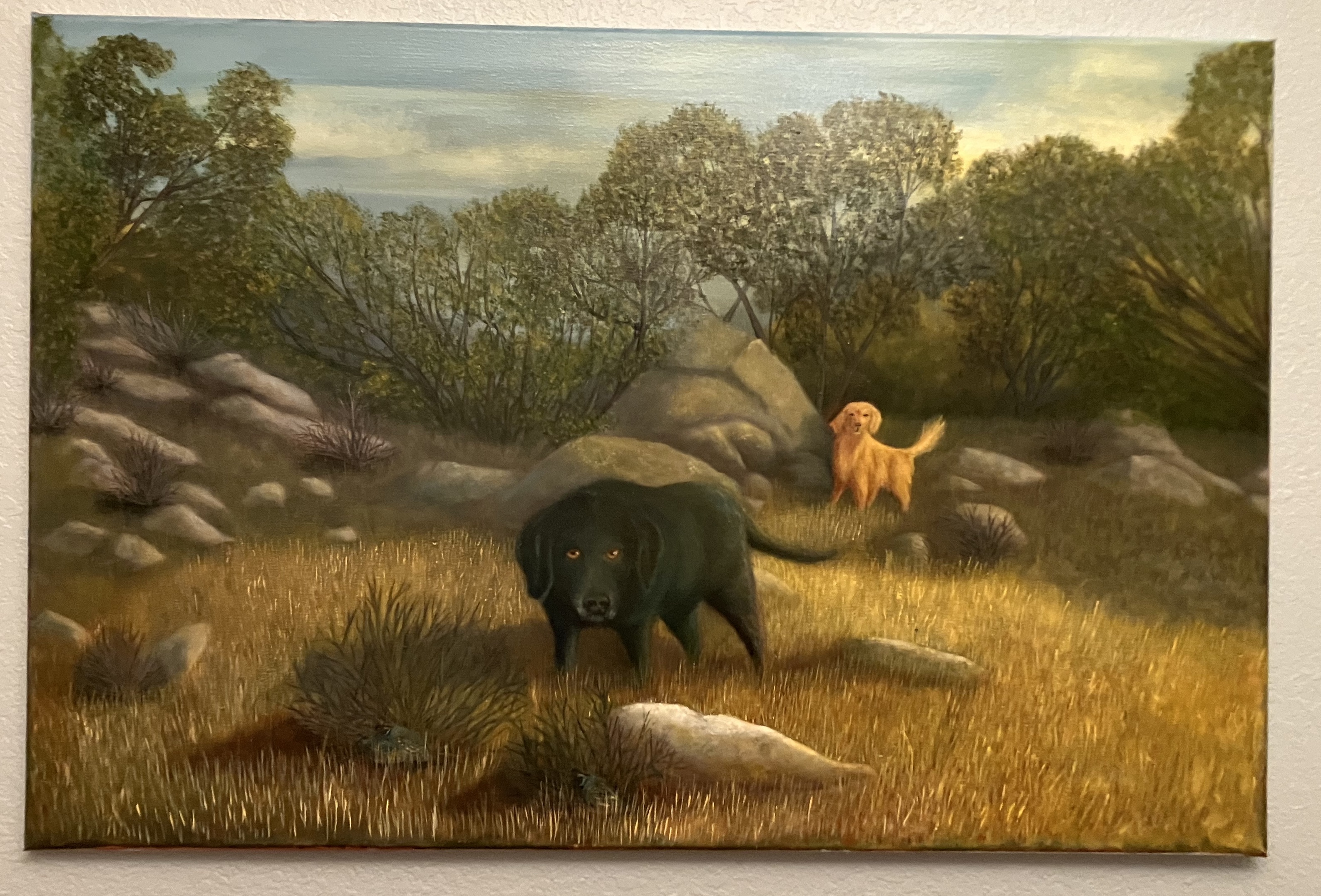 Retrievers in Quail Country