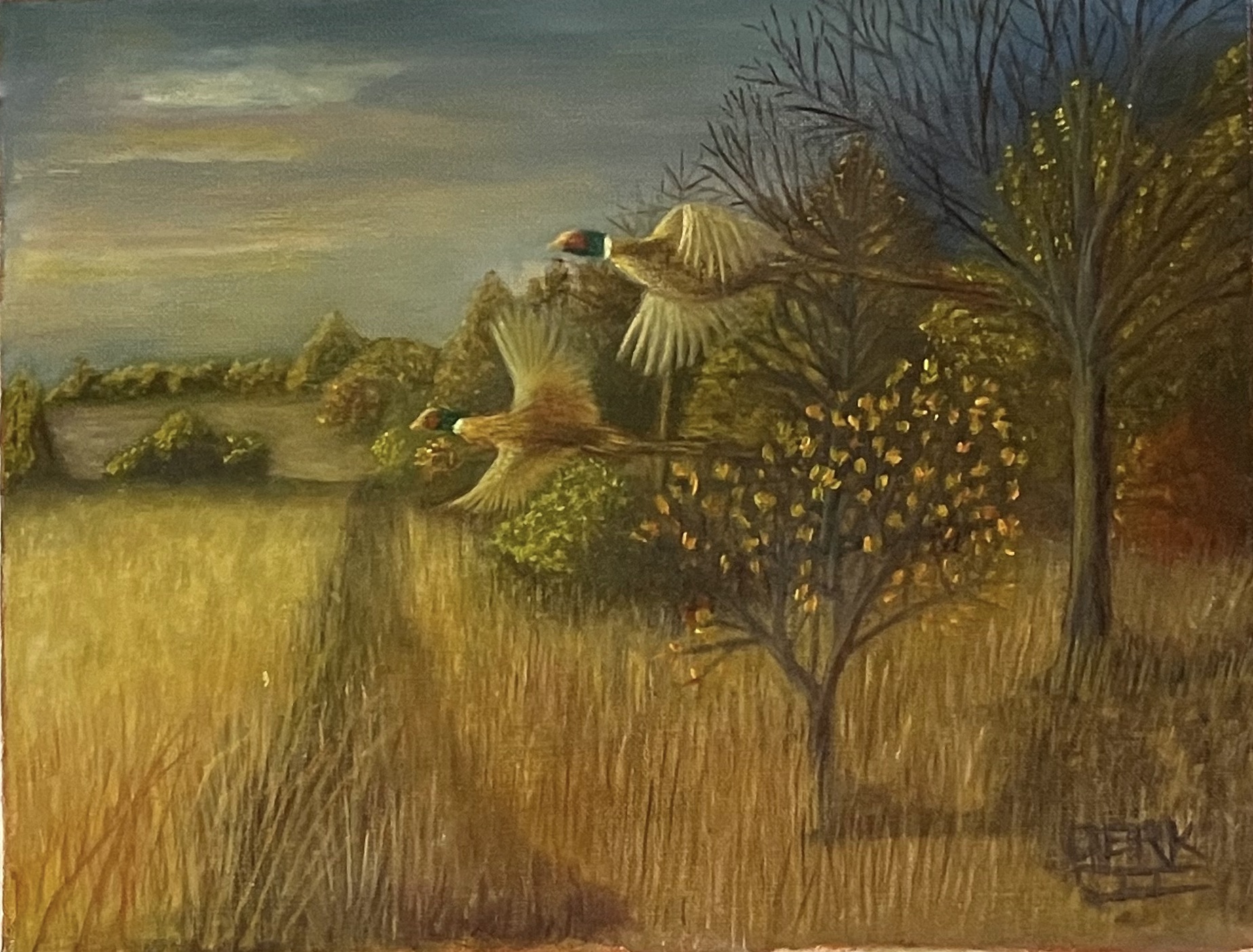 Flying Down from the Roost