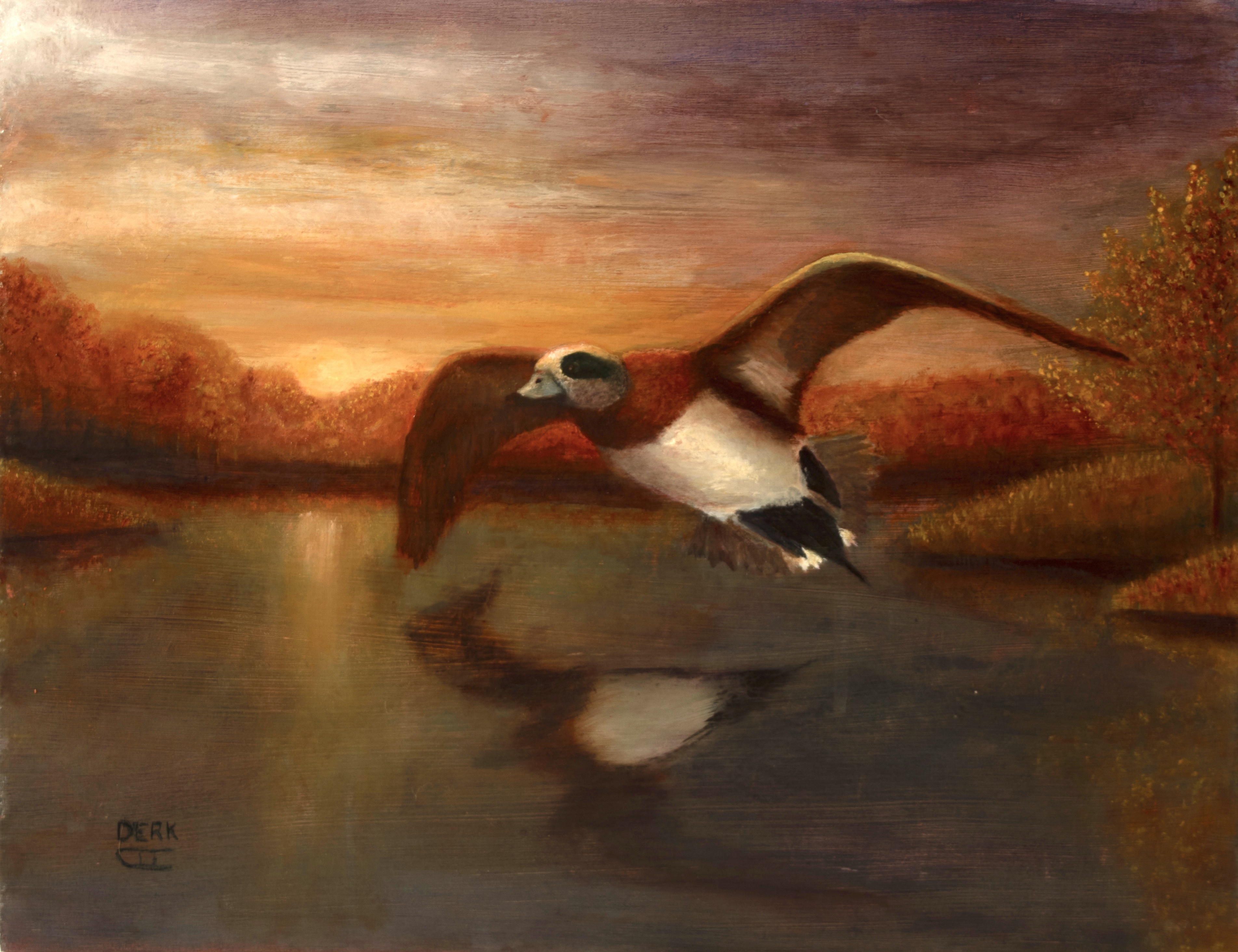 Sunset Wigeon