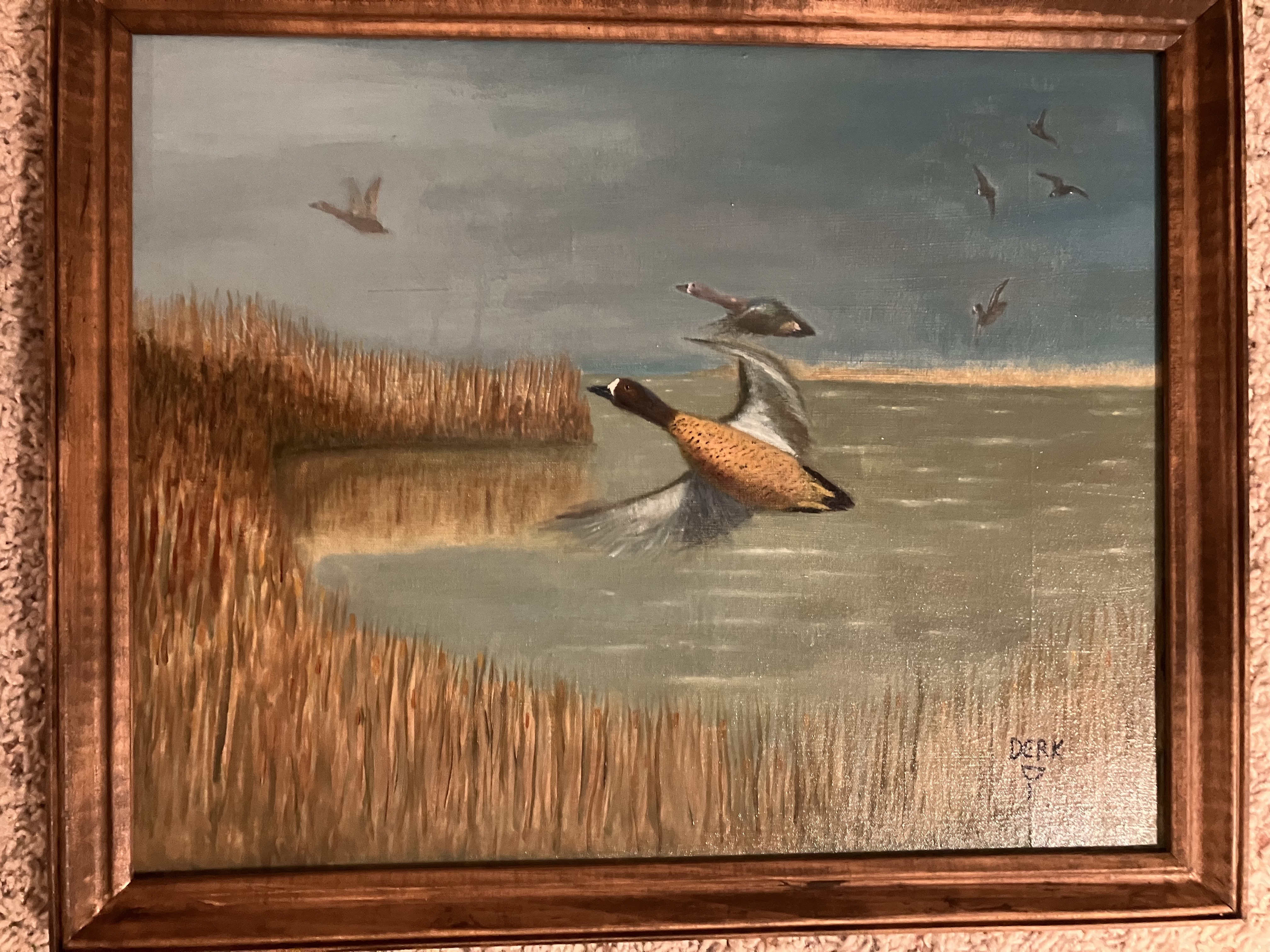 Low Level Fly By - Blue Winged Teal